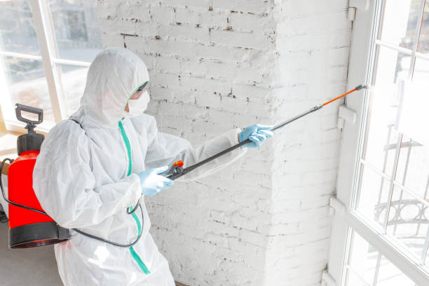 Best Forensic Mold Investigation  in Anthony, NM