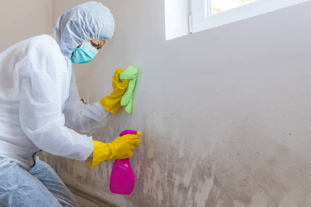 Best Water Damage & Mold Remediation  in Anthony, NM